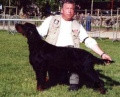 Setter Gordon ORVAL DU CRAK OUAH LONG Setter Gordon ORVAL DU CRAK OUAH LONG